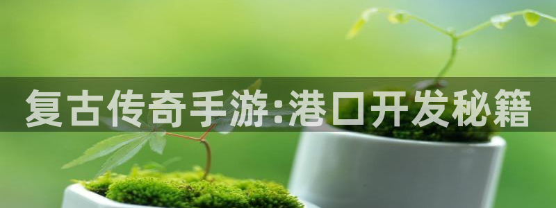 V8娱乐平台：复古传奇手游:港口开发秘籍