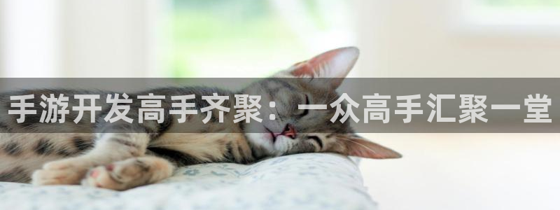 V8娱乐网：手游开发高手齐聚：一众高手汇聚一堂