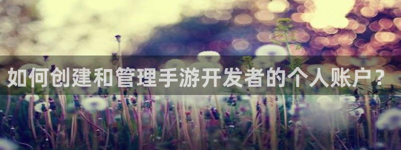 V8娱乐注册:如何创建和管理手游开发者的个人账户?