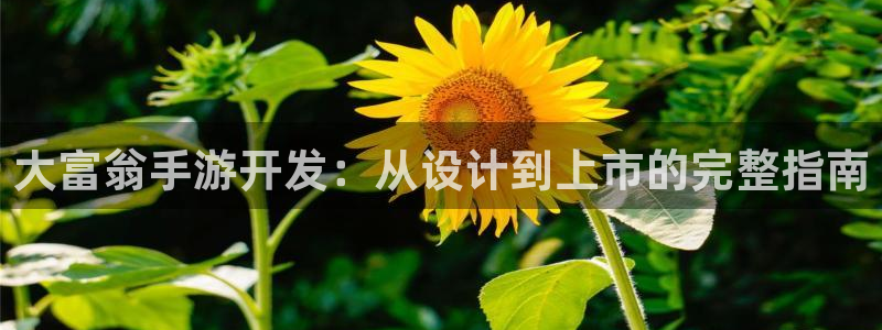 V8娱乐网：大富翁手游开发：从设计到上市的完整指南