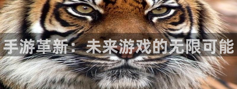 V8娱乐官网：手游革新：未来游戏的无限可能