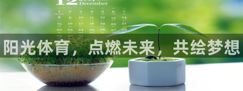三亿体育登录：阳光体育，点燃未来，共绘梦想