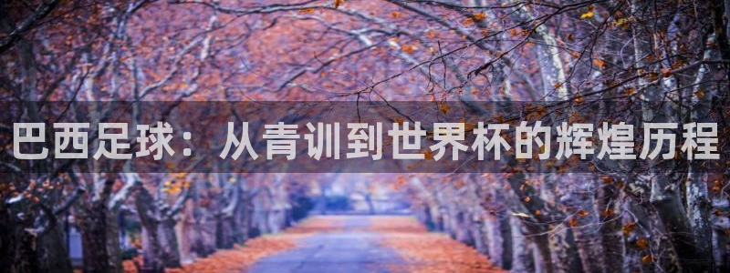 三亿体育网：巴西足球：从青训到世界杯的辉煌历程