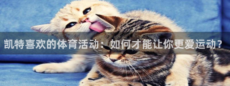 三亿体育网：凯特喜欢的体育活动：如何才能让你更爱运动？