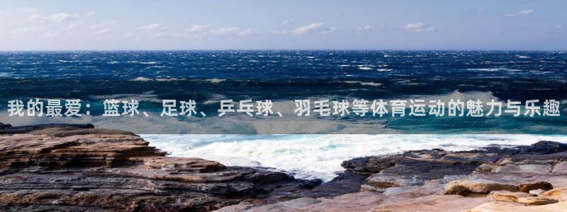三亿体育网页版：我的最爱：篮球、足球、乒乓球、羽毛球等体育运动的魅力与乐趣