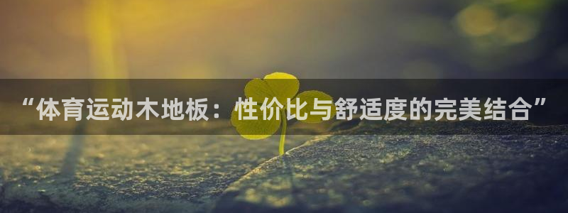 三亿体育登录：“体育运动木地板：性价比与舒适度的完美结合”