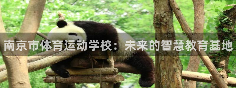 三亿体育网：南京市体育运动学校：未来的智慧教育基地